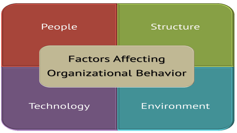عناصر رفتار سازمانی